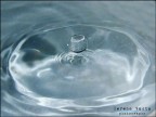 drop drop