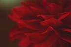 Il Rosso Nel Buio Il Rosso Nel Buio