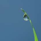 Tutto...in una goccia