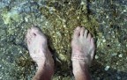 White wet socks White wet socks