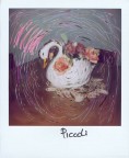 Cigno su polaroid