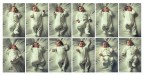 Many Babies Many Babies