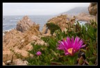 Costa Paradiso Costa Paradiso