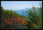 impressioni di maggio impressioni di maggio