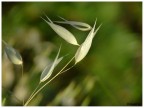 prova macro prova macro