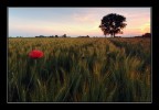 Ultima sera di Maggio... Ultima sera di Maggio...