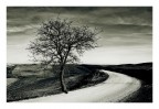 Toscana Toscana