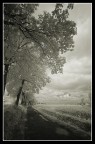 strada di campagna strada di campagna