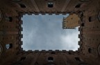 A siena col naso all'insł A siena col naso all'insł