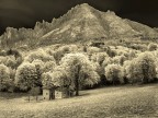 Le grigne Le grigne