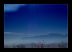 006 006