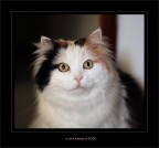 Bellissima..... Bellissima.....