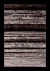 009 009