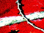Una formica incontra un ostacolo e si ferma. Una formica incontra un ostacolo e si ferma.
