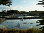 Saline Mauritius Saline Mauritius