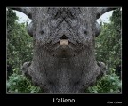 L'alieno