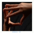 armonia armonia