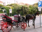 Ad ognuno il suo parcheggio Ad ognuno il suo parcheggio