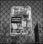 Any English? Any English?