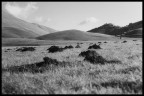 verso castelluccio!! verso castelluccio!!