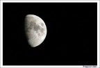 Luna notte Luna notte