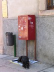 Abbandonato Abbandonato