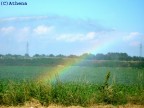 stavano bagnando il campo di barbabietole e puf ecco effetto arcobaleno