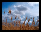...Al di l� delle nuvole...