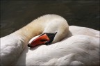 La Siesta La Siesta