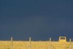 Yellow Yellow