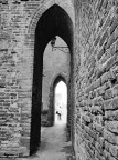 scorcio scorcio