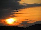 Tramonto Tramonto