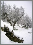 ...ha nevicato... ...ha nevicato...