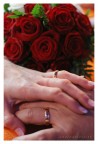Wedding's day Wedding's day