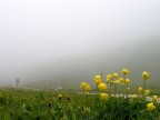 Non andare via Non andare via