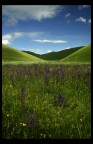 incontro castelluccio incontro castelluccio