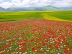 SCENDENDO VERSO IL PIAN GRANDE (RADUNO NSF) SCENDENDO VERSO IL PIAN GRANDE (RADUNO NSF)