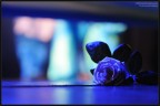 Love Thrown... Love Thrown...