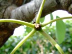 La natura di prima...mano La natura di prima...mano