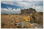 ruderi..in salento ruderi..in salento