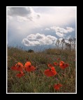 ...FRA CIELO E TERRA... ...FRA CIELO E TERRA...