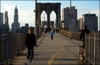 NY-01 NY-01