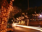 alberi in festa attorno alla statua della libert�