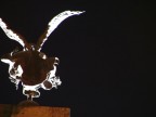 la statua della libert� vista dal basso