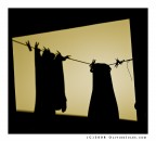 La bella e la Bestia