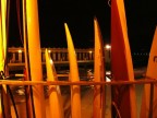 tavole da windsurf "parcheggiate" al charleston!