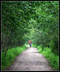 Nel mezzo del cammin di nostra vita mi ritrova in usa selva Nel mezzo del cammin di nostra vita mi ritrova in usa selva