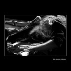 Stefano Bollani in action