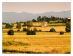 pomeriggio in campagna pomeriggio in campagna