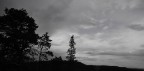 ALBERI